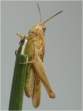 Zdj�cie Nr   84