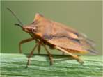 Zdj�cie Nr   93